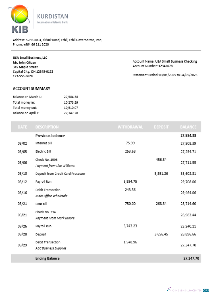 Download Kurdistan business bank statement Word and PDF format Photoshop template